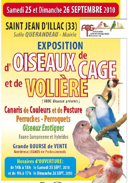 affiche