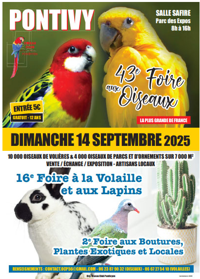Affiche du concours