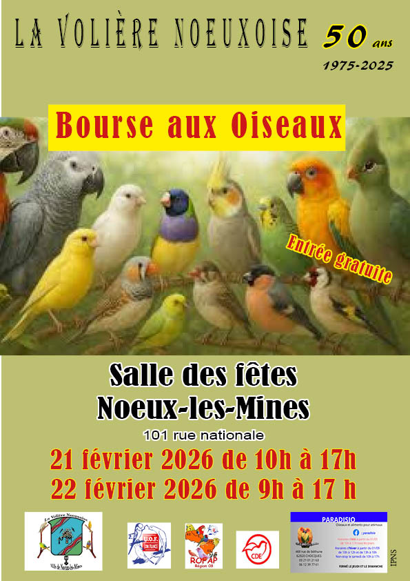 Affiche du concours