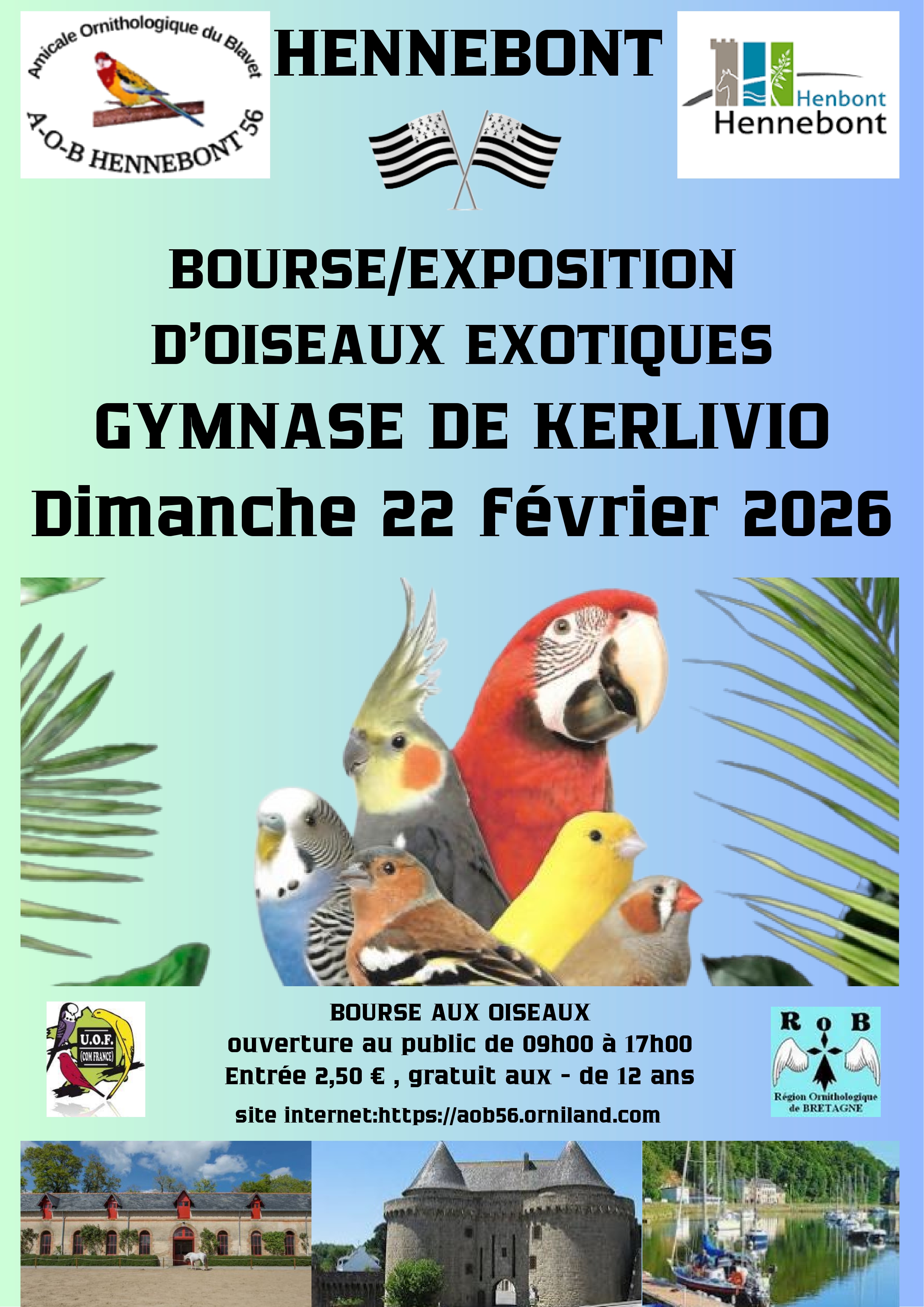 Affiche du concours