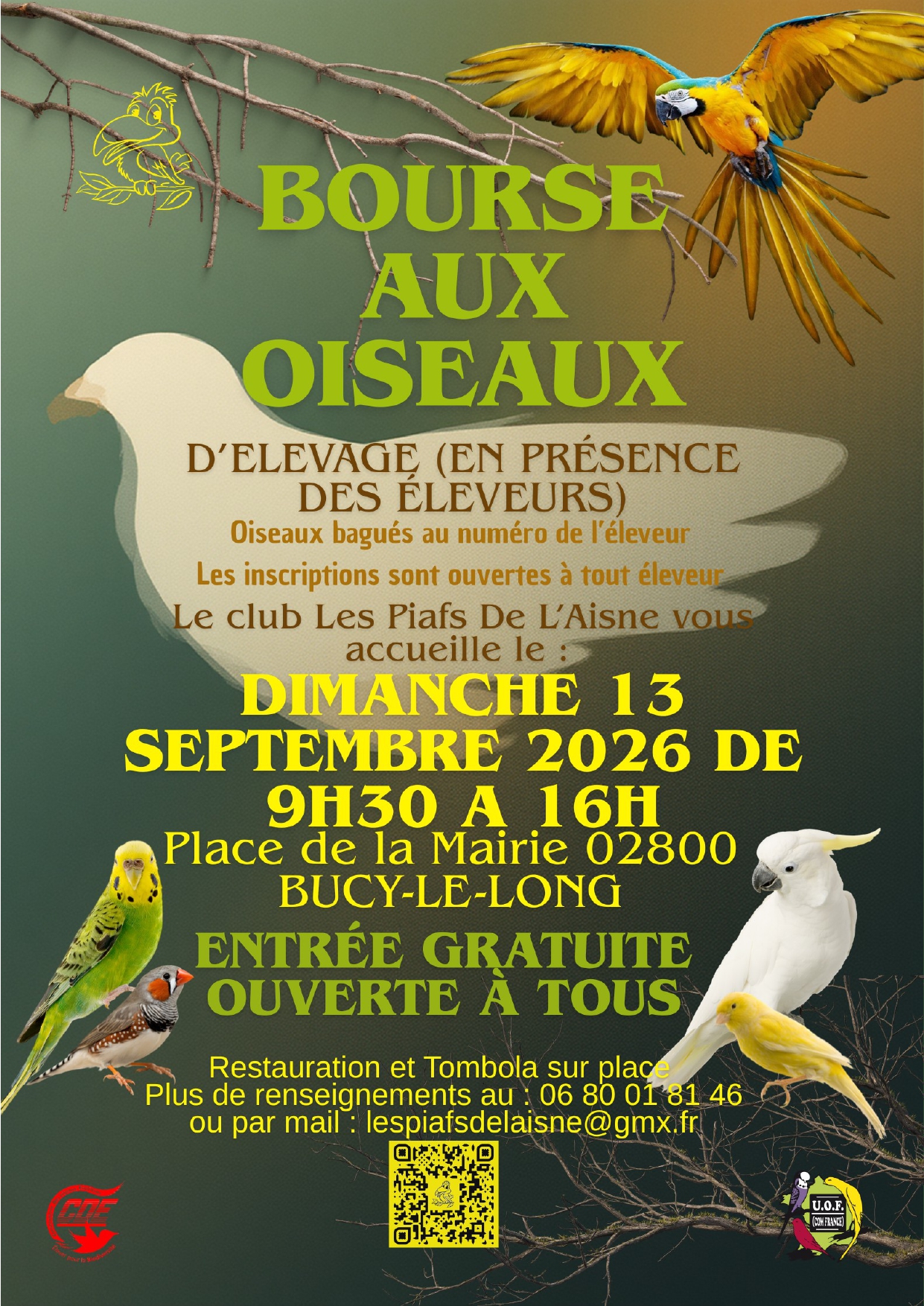 Affiche du concours
