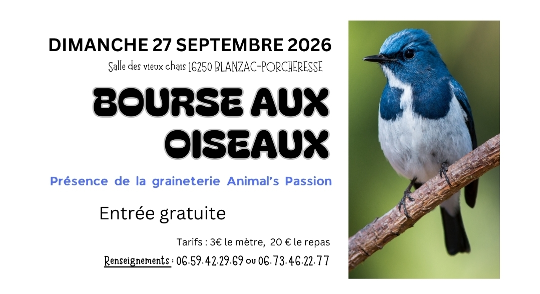 Affiche du concours