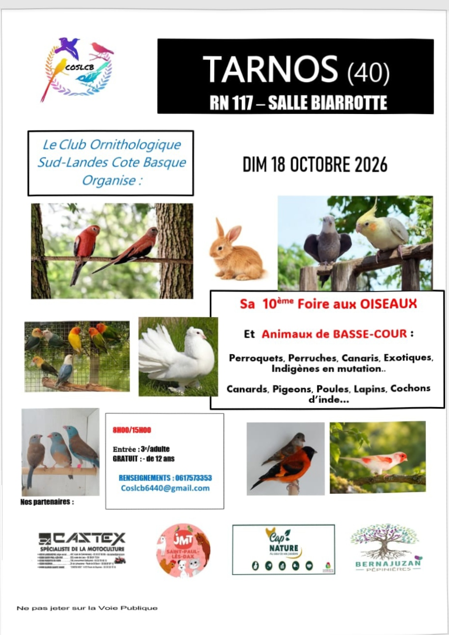 Affiche du concours