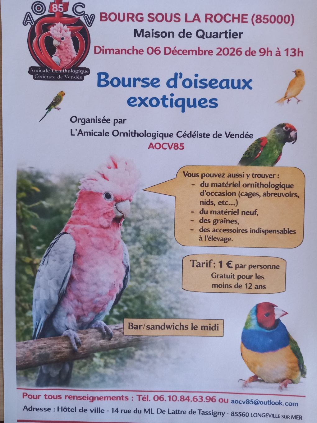 Affiche du concours