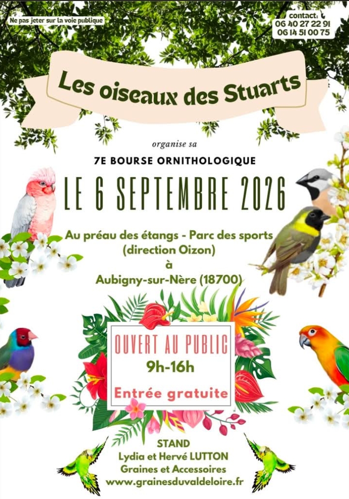 Affiche du concours