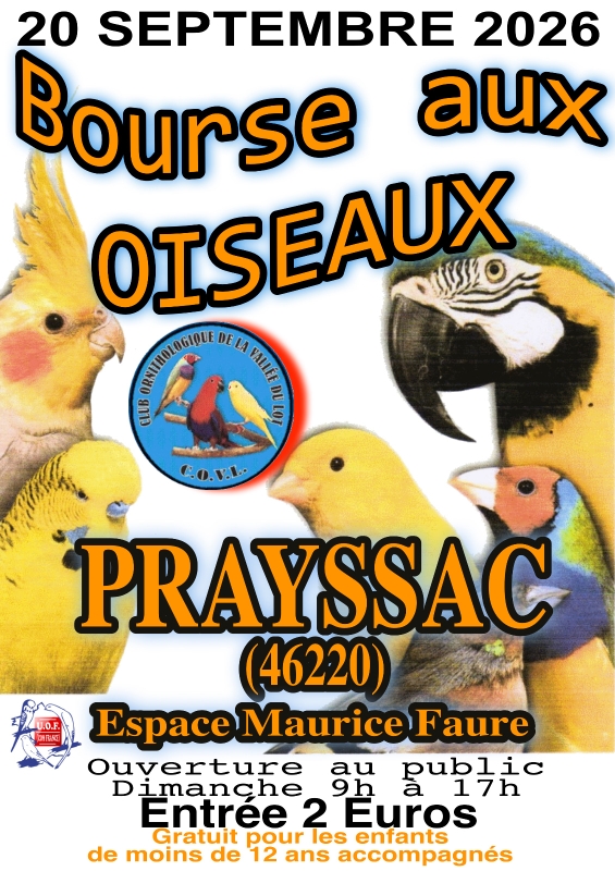 Affiche du concours
