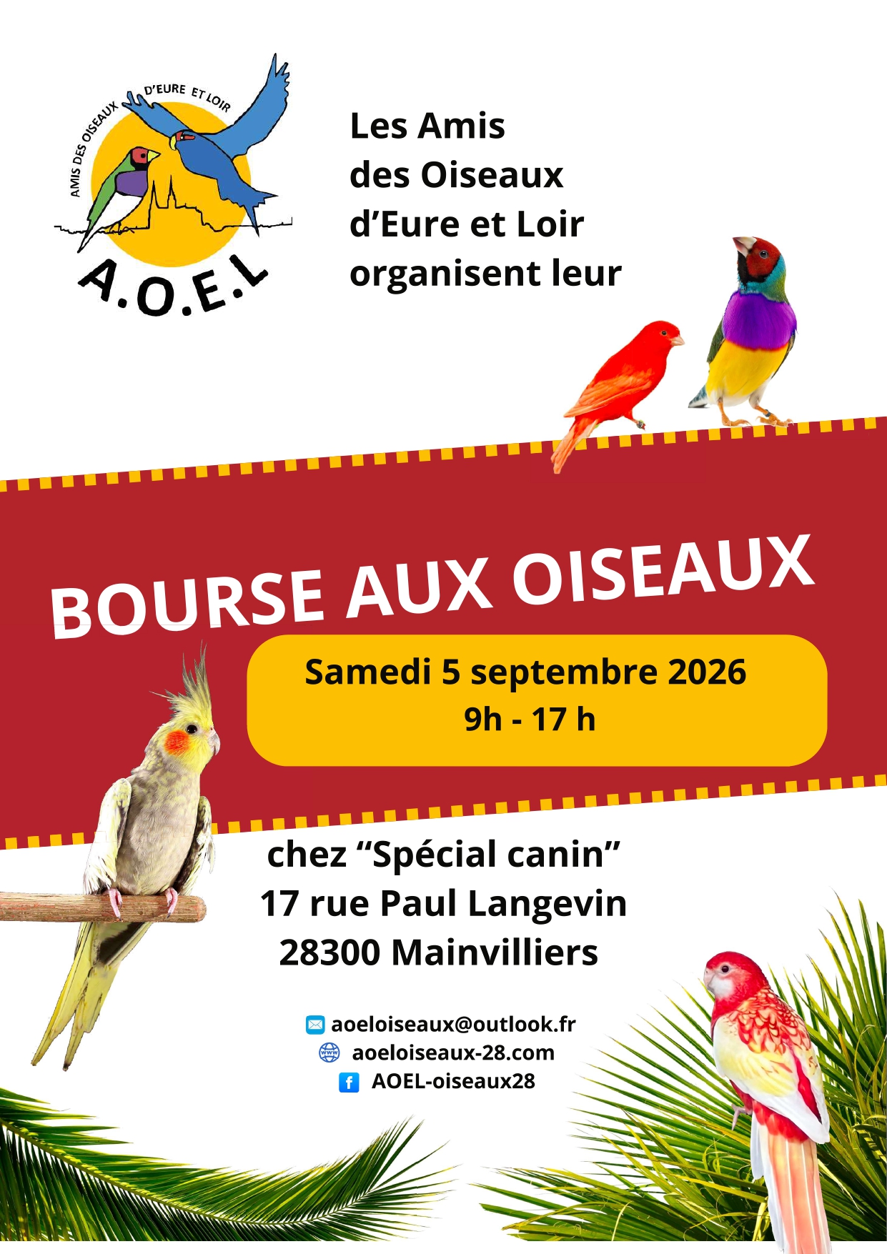 Affiche du concours