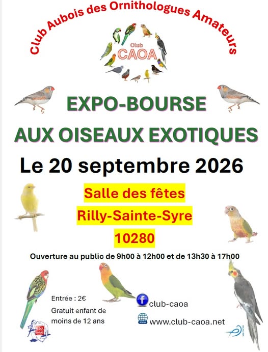 Affiche du concours