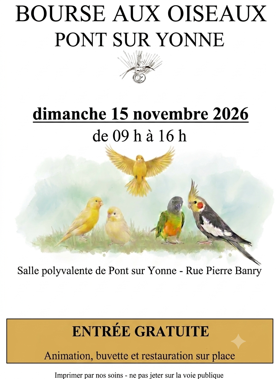 Affiche du concours