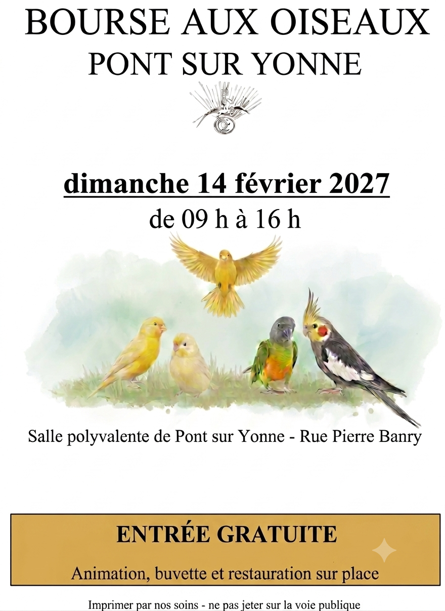 Affiche du concours