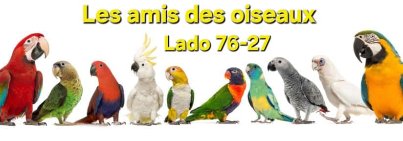 Affiche du concours