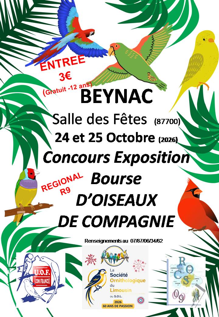 Affiche du concours