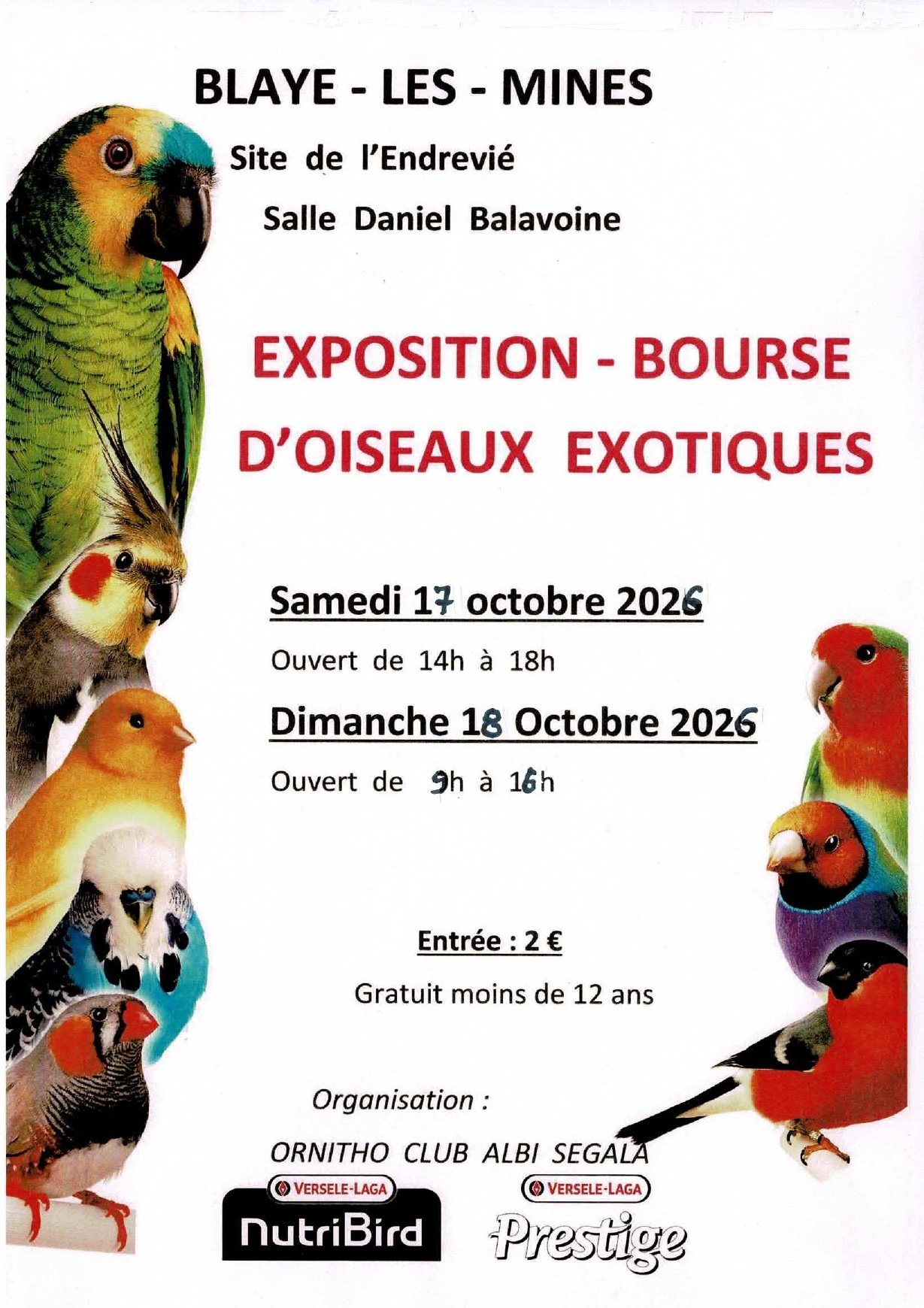 Affiche du concours
