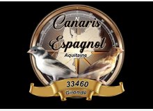 Canarisespagnol33460gironde