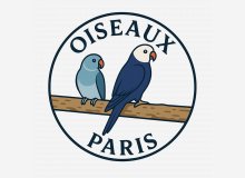 Oiseaux Paris