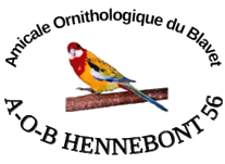 Logo du club