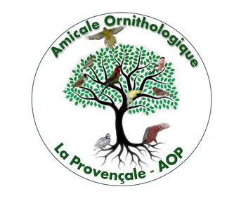 Logo du club