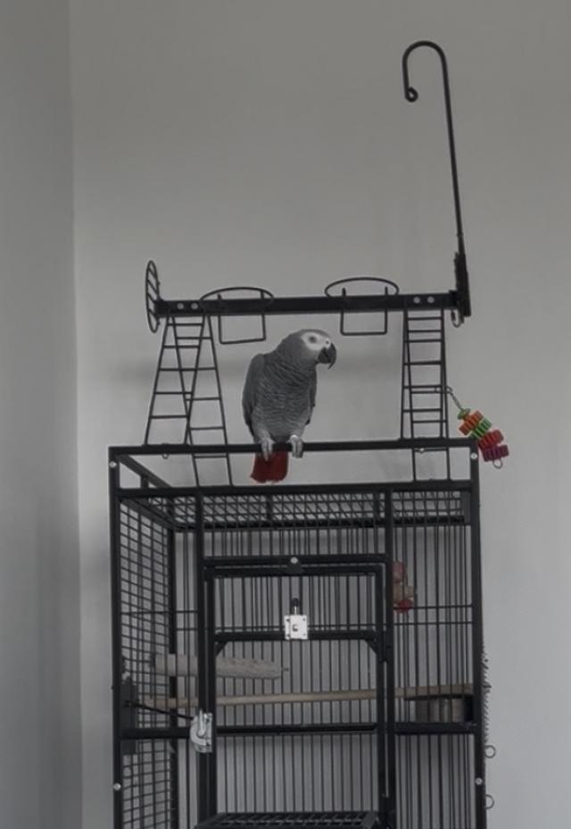 Miniature 2