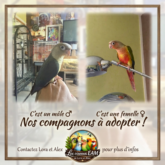 Photo de l'annonce