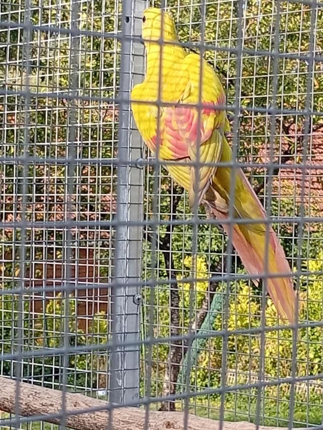 Photo de l'annonce
