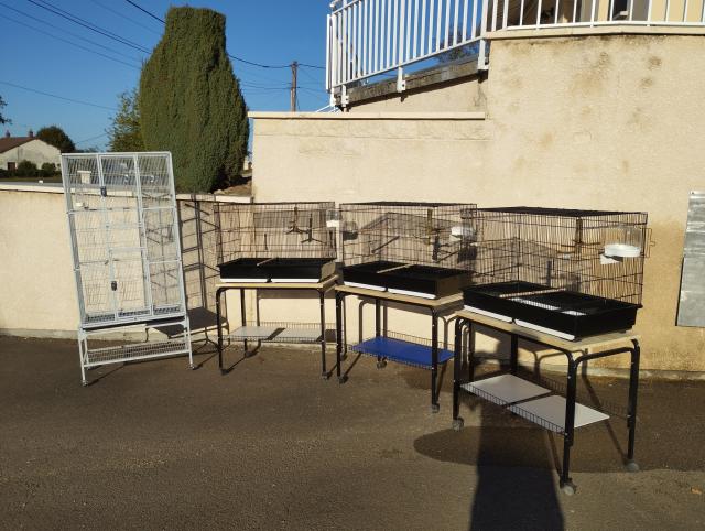 Photo de l'annonce
