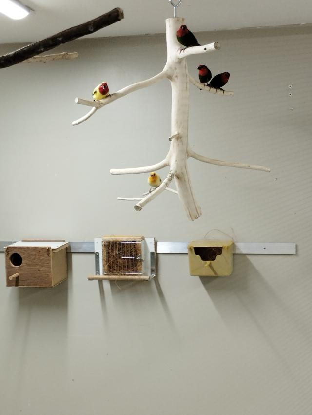 Miniature 3