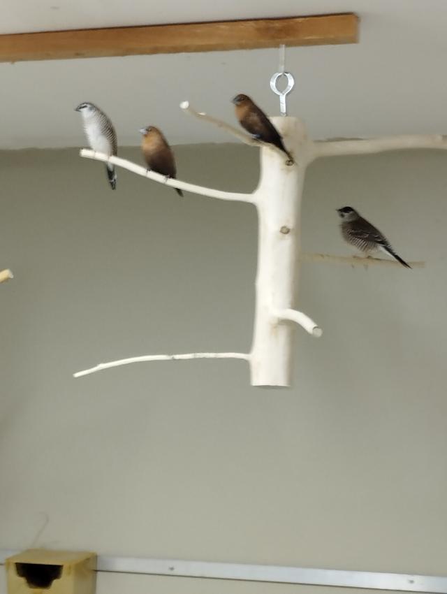 Photo de l'annonce