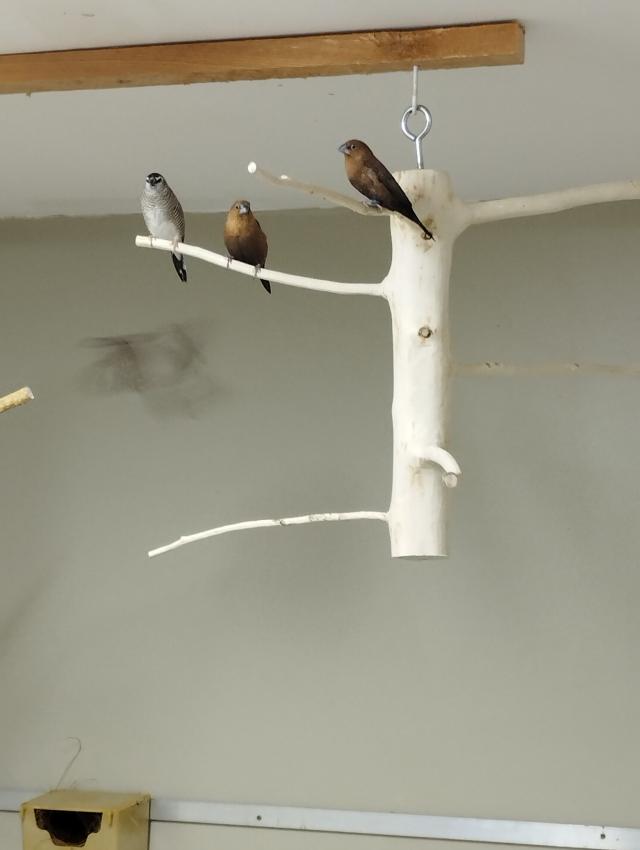 Miniature 2