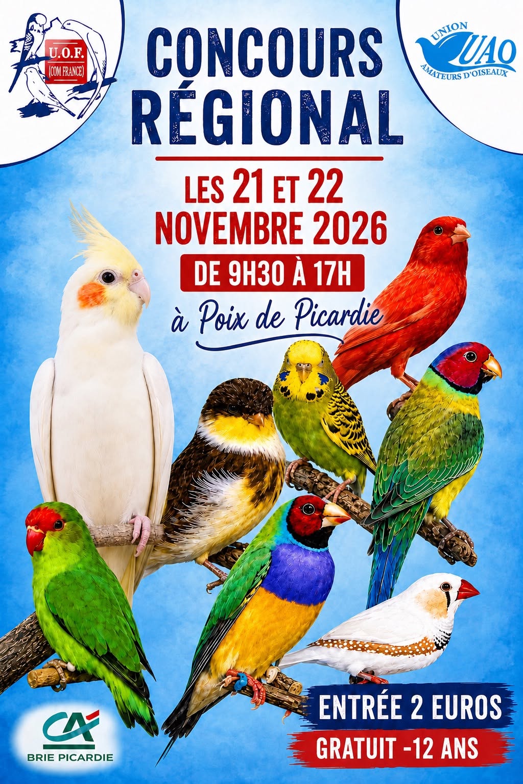 Affiche du concours
